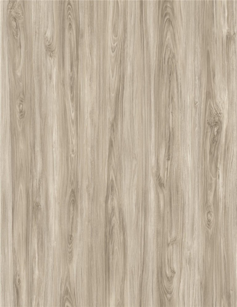 SE-AN86002-Santiago Elm Layout