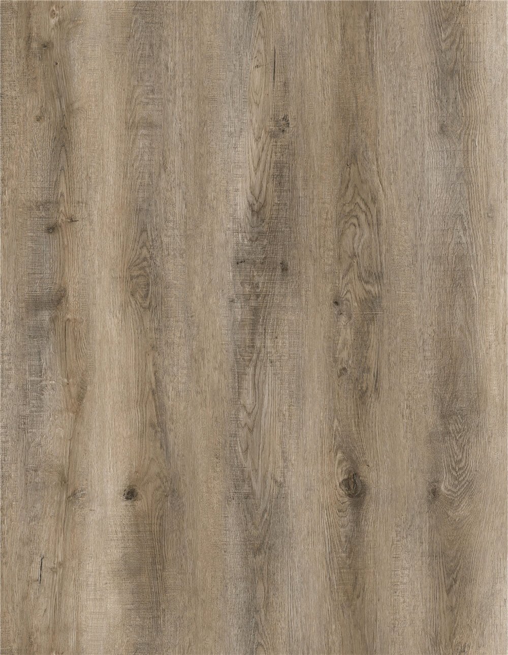 Zanzibar Oak - Selva