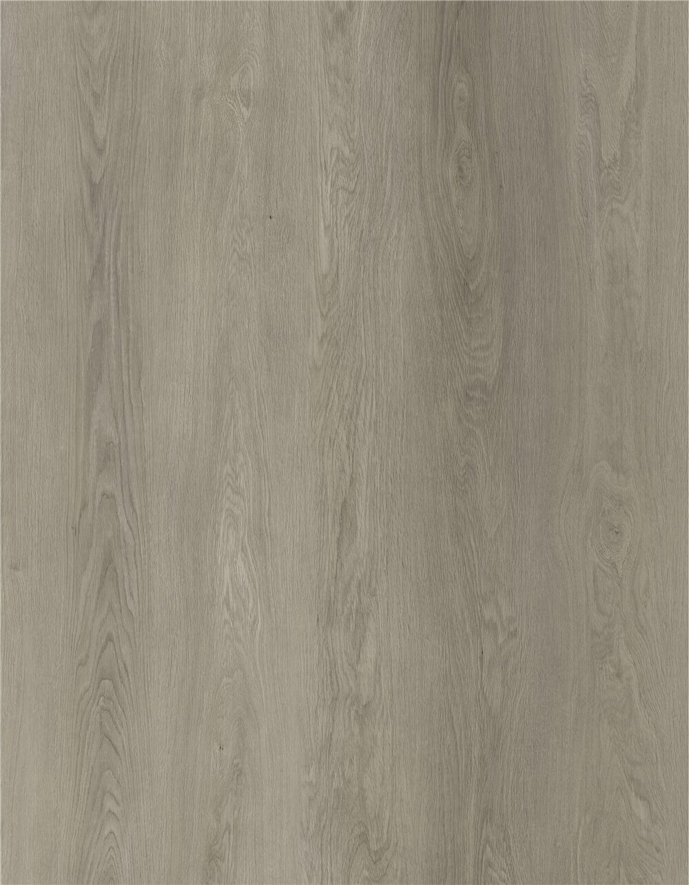 Porto Oak - Selva